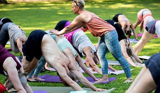 Populariteten øker: Nye studier om yogaens effekt