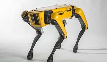 Skal masseprodusere robothunden «Spot»
